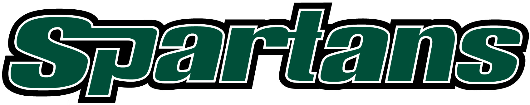 USC Upstate Spartans 2003-2010 Wordmark Logo diy fabric transfer